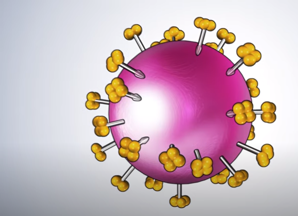 Coronavirus, un video per vedere come funziona il vaccino