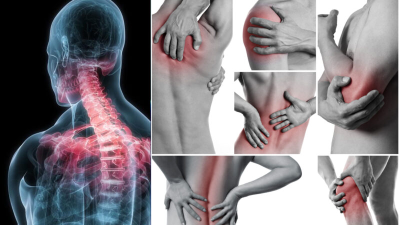 Parliamo di fiosioterapia e di osteopatia con Riabiliart