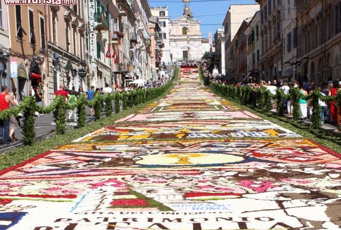 Genzano, Città Futura: “Infiorata, storia e sentimenti. Non solo un nome”