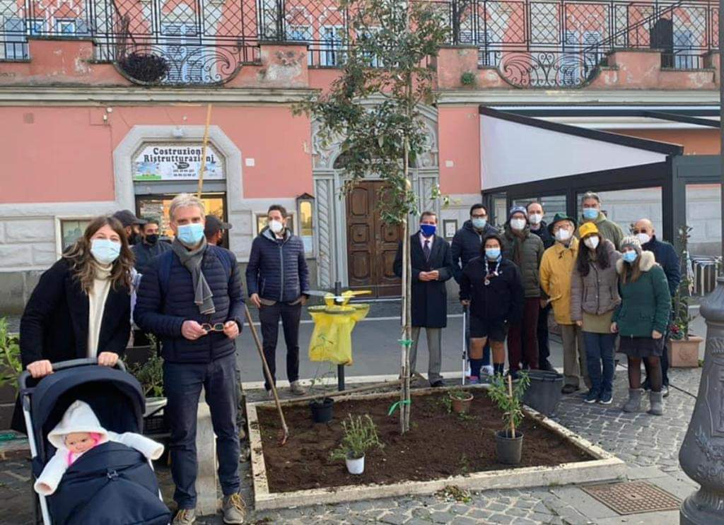 Progetto “Ossigeno” (Regione Lazio), Genzano aderisce con due lecci in Piazza Frasconi