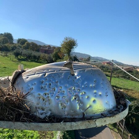 Colonna, spari a un lampione in Via dei Mattei. L’ironia dell’Amministrazione