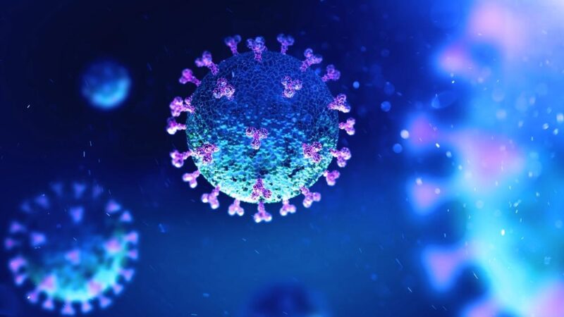 Coronavirus, 06/12/2020: aggiornamenti Lazio