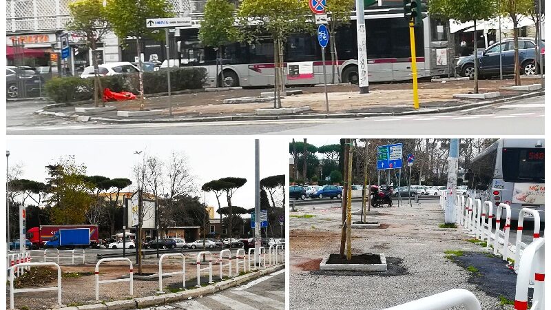 Piazza di Cinecittà, Municipio VII Roma pianta alberi mangia smog