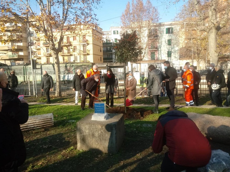 Centocelle (Roma), piantato albero in ricordo di Federica Stiffi al Parco Giochi di Piazza dei Gerani