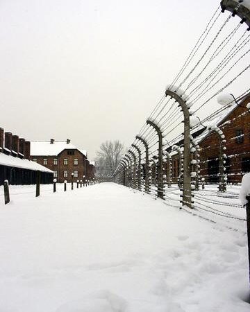 Albano, Giornata della Memoria: conferenza streaming “La Shoah come esito e come monito”