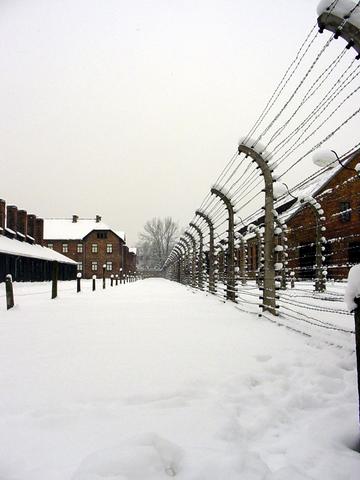 Albano, Giornata della Memoria: conferenza streaming “La Shoah come esito e come monito”