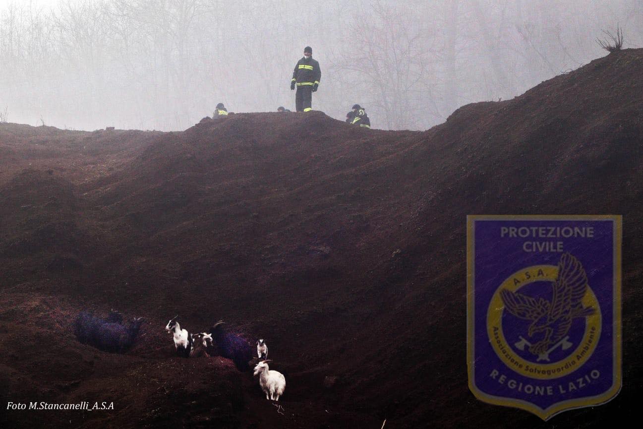 Rocca di Papa, 7 capre bloccate in un costone da 3 settimane: interviene Protezione Civile