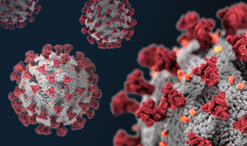 Coronavirus, 05/06/2021: Aggiornamento Lazio. Incidenza e RT da zona bianca