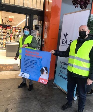 Ciampino, rubato cibo per gatti davanti a un’attività. Ass. Passi: “Chiedete aiuto a noi!”