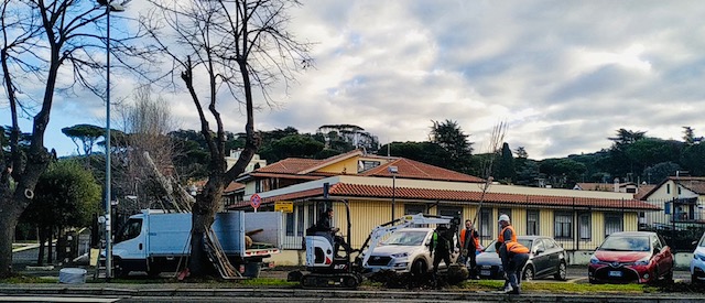 Grottaferrata, iniziata la piantumazione di 200 piante: operazioni fino a marzo (FOTO)