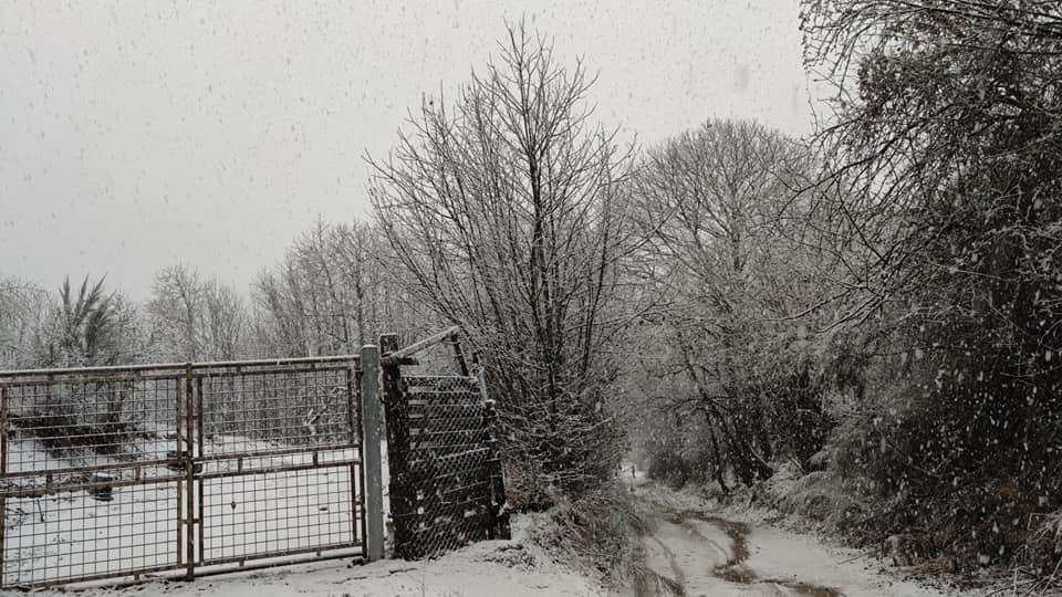 Campi di Annibale e Monte Cavo: stavolta Rocca di Papa si imbianca per davvero!