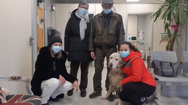 Velletri – Guardie Ecozoofile Ambientali riportano a casa Sissi, cagnolina smarrita a Capodanno