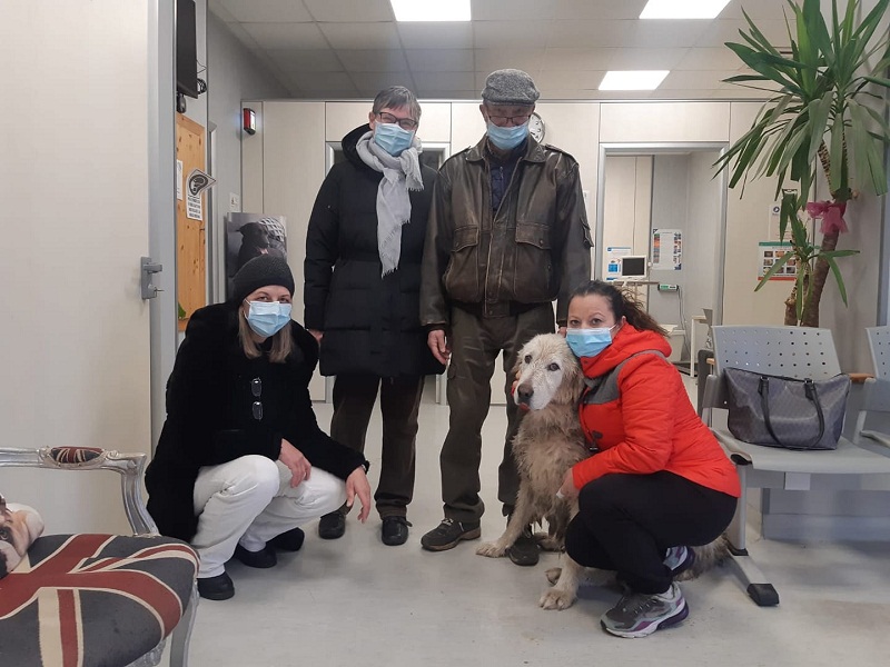 Velletri – Guardie Ecozoofile Ambientali riportano a casa Sissi, cagnolina smarrita a Capodanno