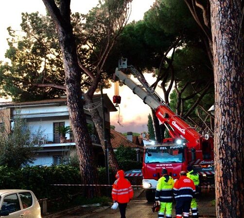 Grottaferrata, Via Cassani: pino cade addosso a una casa