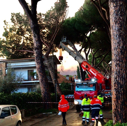 Grottaferrata, Via Cassani: pino cade addosso a una casa