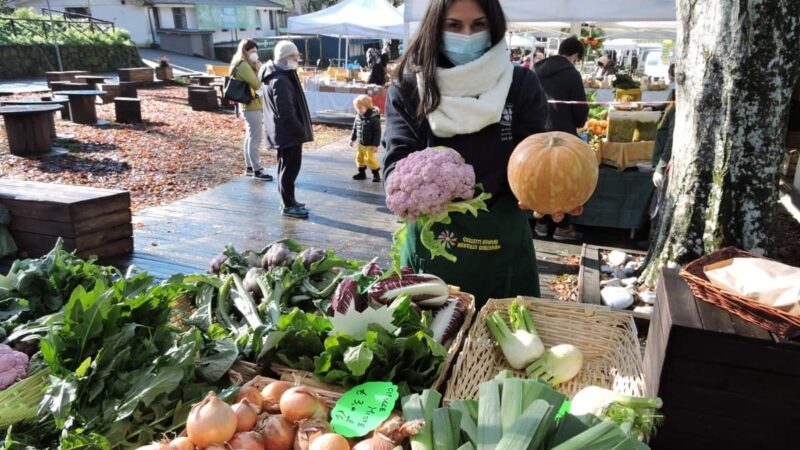 Ariccia-Castelli Romani, il Mercato Contadino aperto con i prodotti a km0 nel weekend