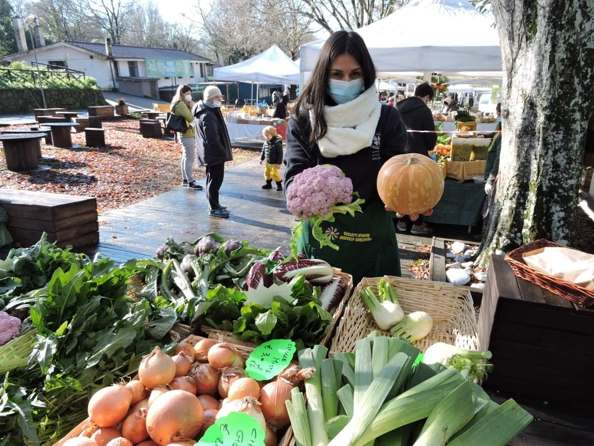 Ariccia-Castelli Romani, il Mercato Contadino aperto con i prodotti a km0 nel weekend