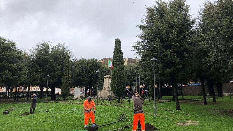 Albano, nuovi alberi nei giardini della Stazione e a Parco della Rimembranza