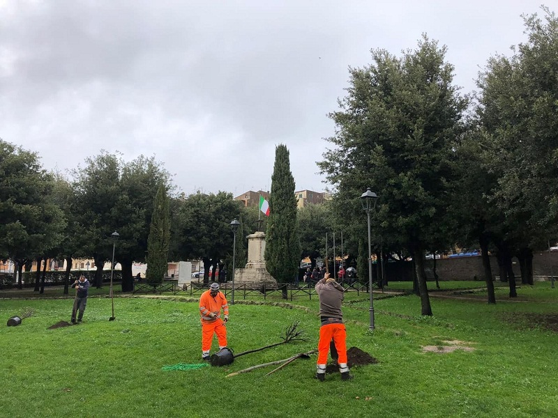 Albano, nuovi alberi nei giardini della Stazione e a Parco della Rimembranza