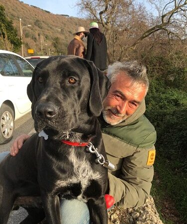 Castel Gandolfo – Smarrito Enea, cane nero grande e “molto buono”