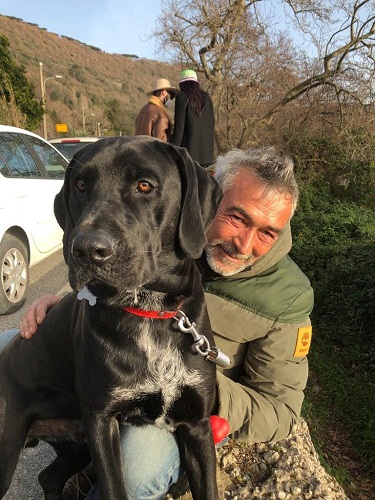 Castel Gandolfo – Smarrito Enea, cane nero grande e “molto buono”