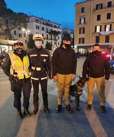 Albano – Piazza Mazzini, Polizia recupera sostanza stupefacente insieme a un’unità cinofila