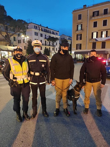 Albano – Piazza Mazzini, Polizia recupera sostanza stupefacente insieme a un’unità cinofila