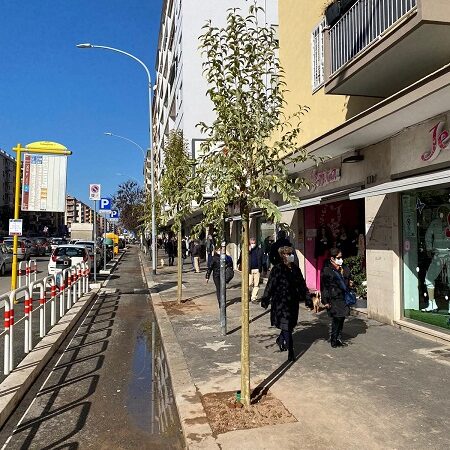 Roma, Via Tuscolana – Piantati 70 nuovi alberi da Porta Furba a Subaugusta