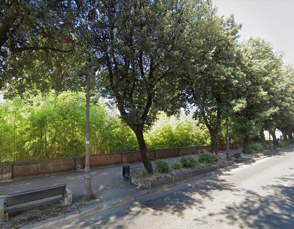 Velletri, potatura alberi: senso unico su Viale Roma fino al 27 febbraio