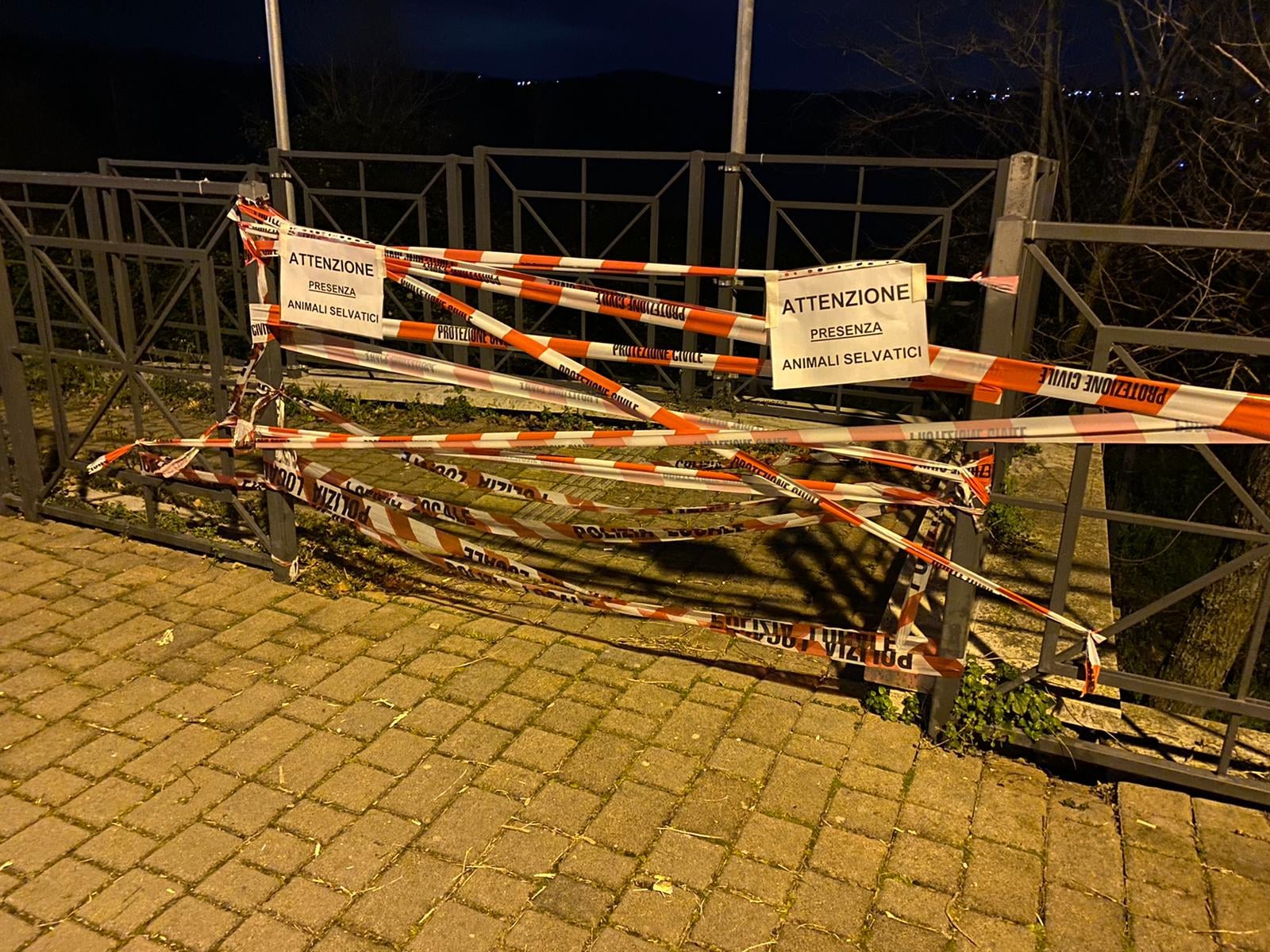 Lago Castel Gandolfo, recintata l’area del Sentiero Natura 2000 per tutela dei cinghiali