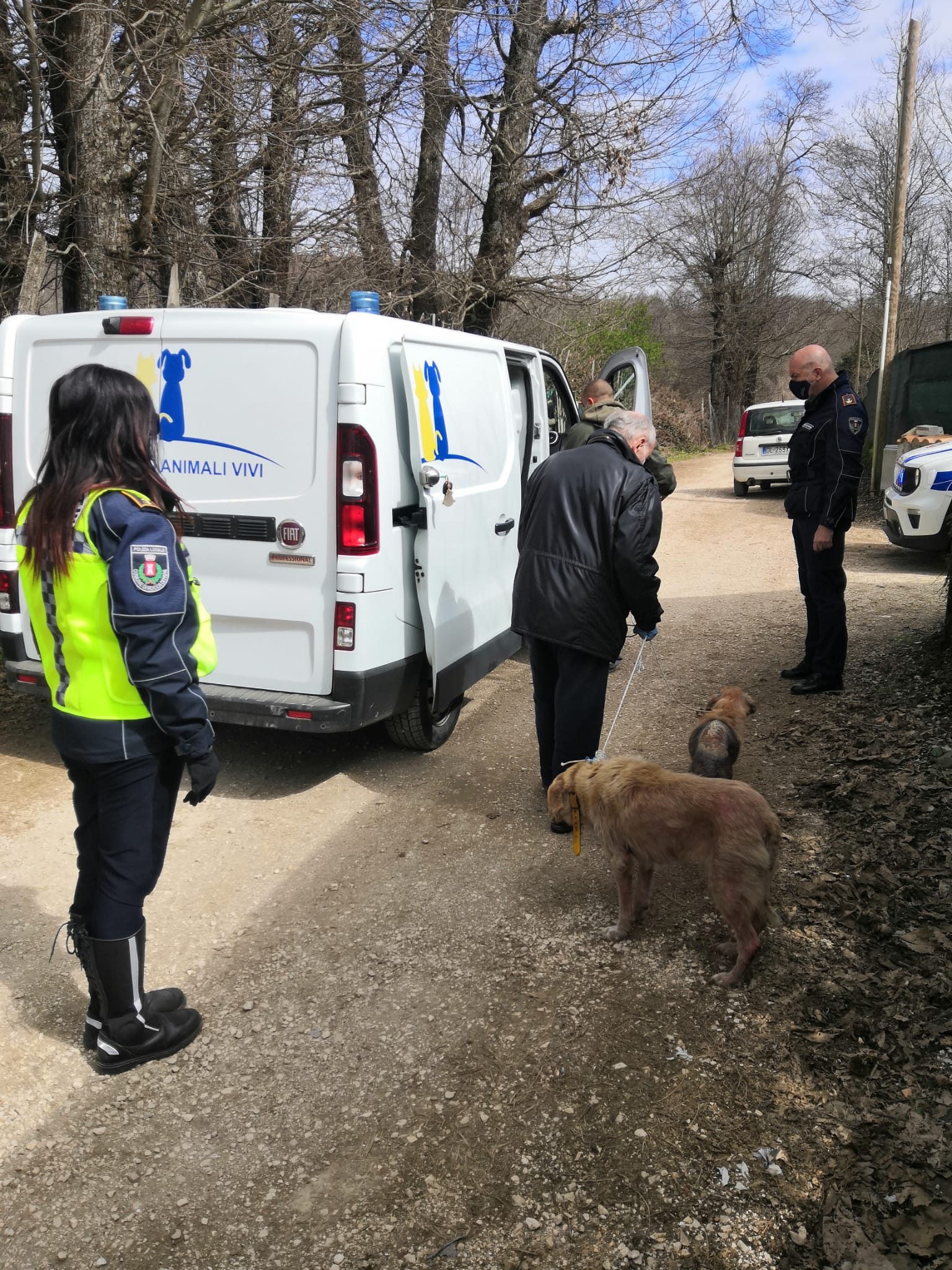 Rocca di Papa – cani abbandonati in Via Monte Pennolo, interviene Locale e Veterinario Asl Roma 6