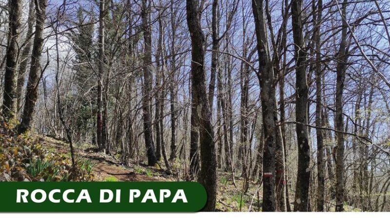 Rocca di Papa, Comune e Parco insieme per tutela dei boschi