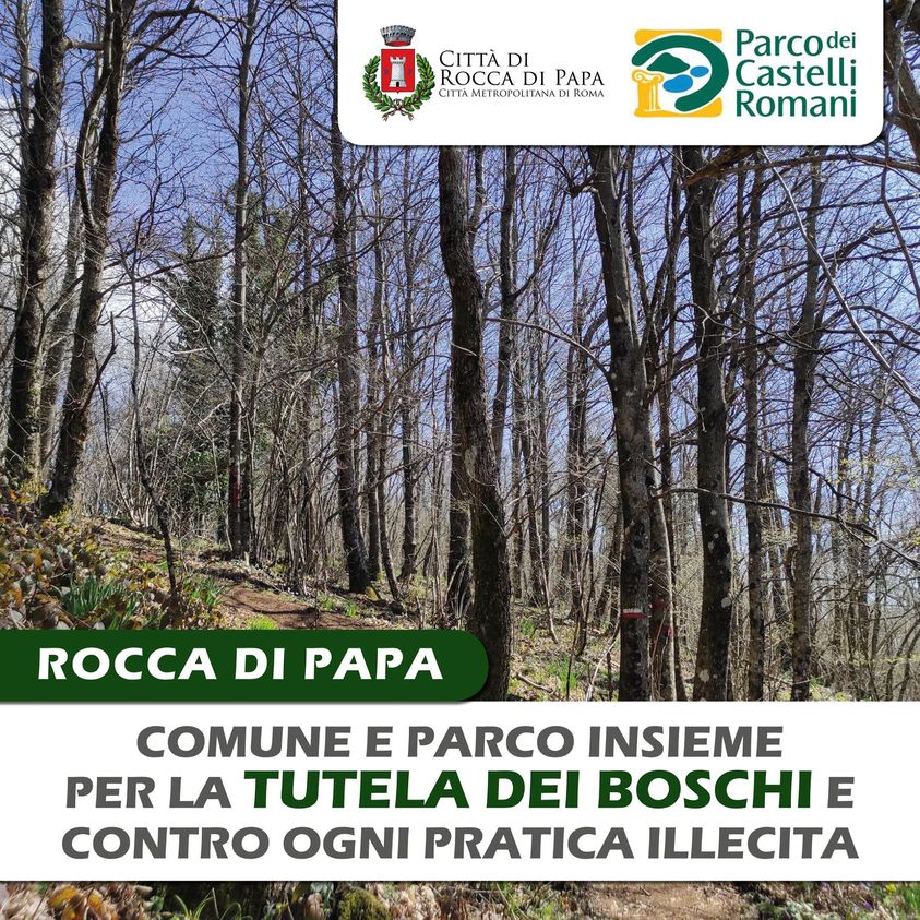 Rocca di Papa, Comune e Parco insieme per tutela dei boschi