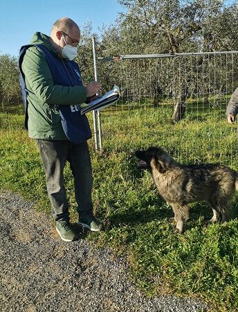 Pomezia, cane in un recinto senza acqua: intervengono Guardie Zoofile