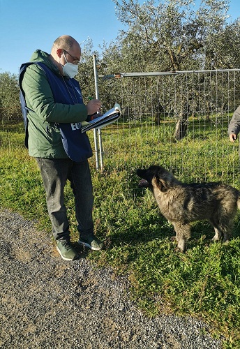 Pomezia, cane in un recinto senza acqua: intervengono Guardie Zoofile