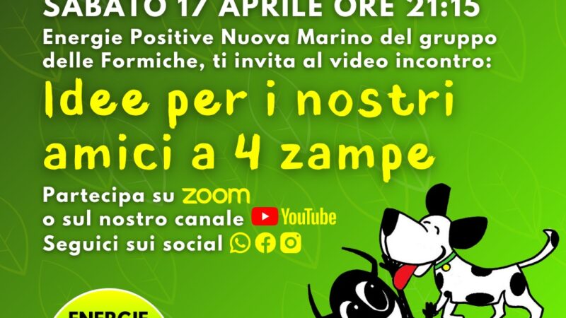 Marino, Energie Positive invita all’evento sugli animali del 17 aprile