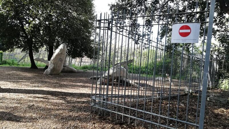 Cinghiali a Frascati, delimitata con nastri Villa Sciarra