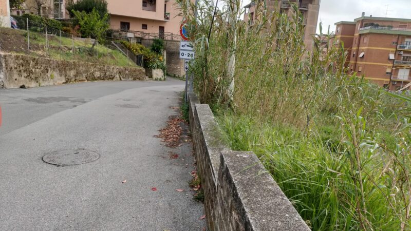 Velletri, Di Luzio (FdI) interroga sul terreno incolto di Via dei Bastioni