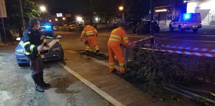 Pavona, abbatte il palo di Via Frosinone e un albero a folle velocità: si cerca fuggitivo