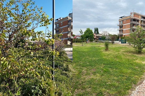 Ciampino, Gente Libera al servizio della comunità: sistemato il giardino di Via Lauro Ferioli