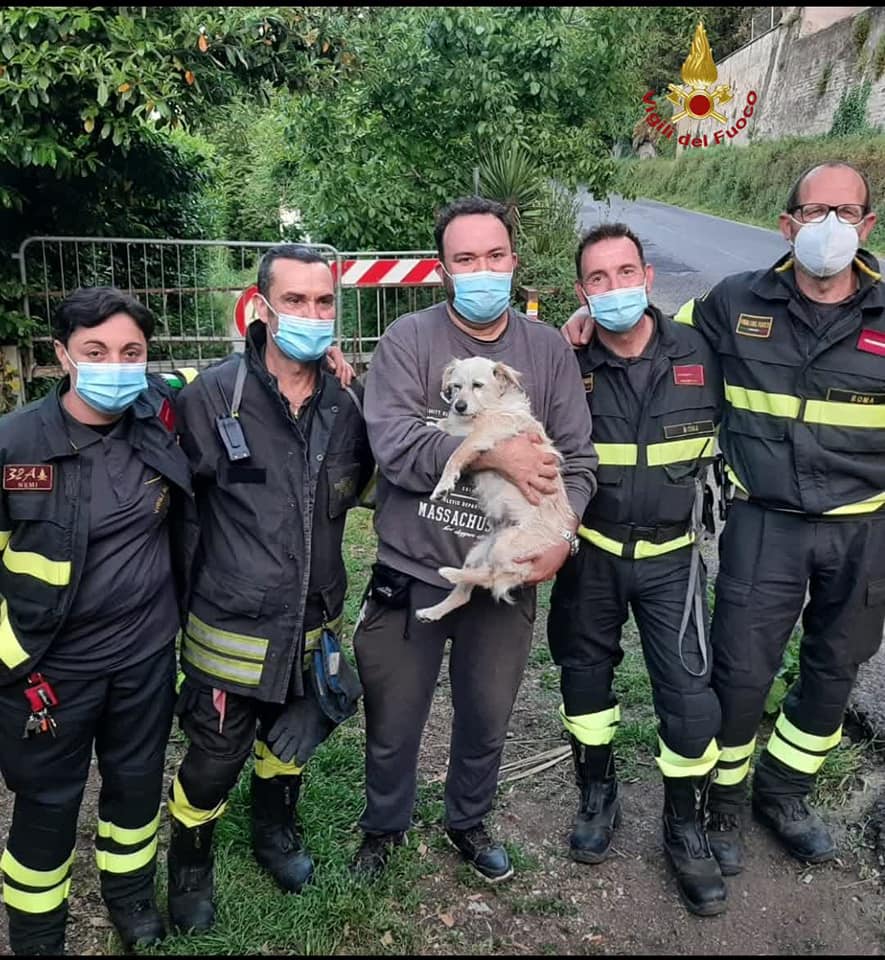 Castel Gandolfo, cane cade in dirupo: salvato dai Vigili del Fuoco