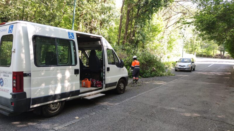 Ariccia, Protezione Civile La Fenice 2010 interviene per un albero sulla carreggiata in via Virbio