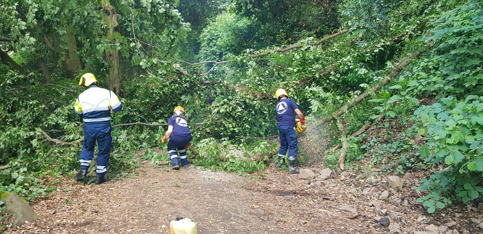 Castel Gandolfo, 4 persone rimaste bloccate sul sentiero. Liberate da Polizia e Protezione Civile