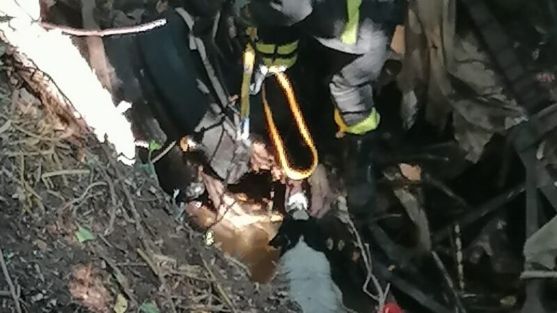 Velletri, i Vigili del Fuoco salvano un cane caduto in un fosso