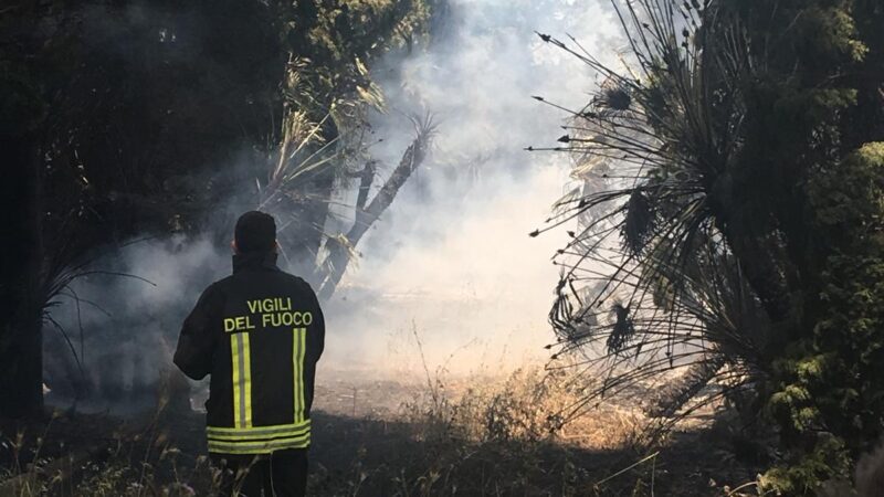 Albano, incendio in un’azienda agricola in via Massimetta