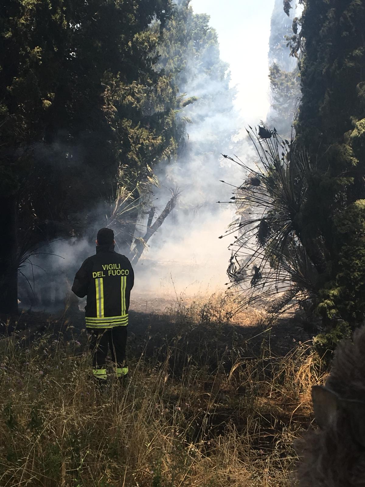 Albano, incendio in un’azienda agricola in via Massimetta