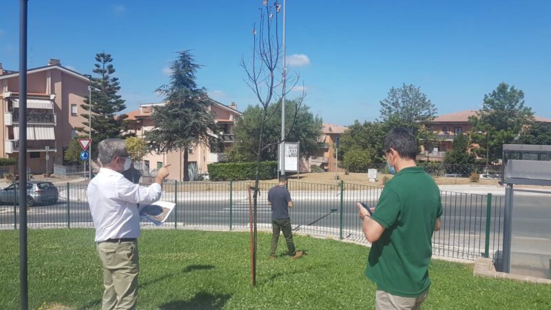 Lanuvio, al via a Ottobre gli interventi di piantumazione di 500 nuovi alberi del Progetto Ossigeno