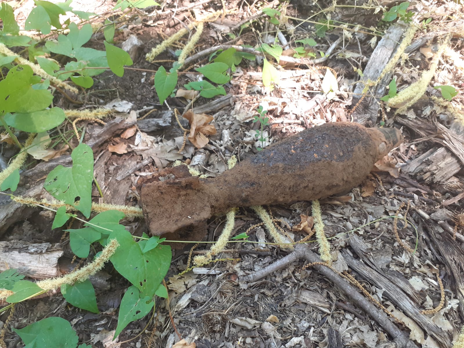 Velletri, rinvenuta bomba inesplosa risalente alla Seconda Guerra Mondiale sul Monte Artemisio