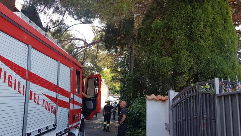 Maltempo, cade il ramo di un pino sulla recinzione del cimitero di Castel Gandolfo (aggiornamento)