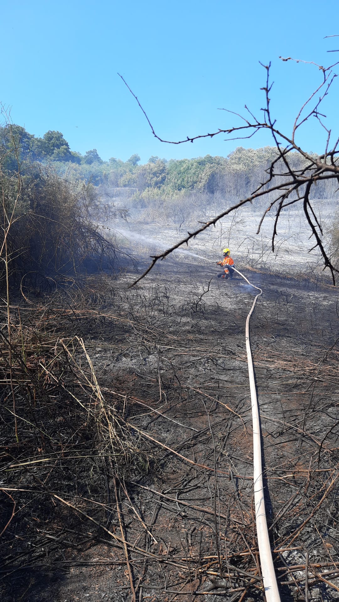 I Castelli Romani dilaniati dagli incendi